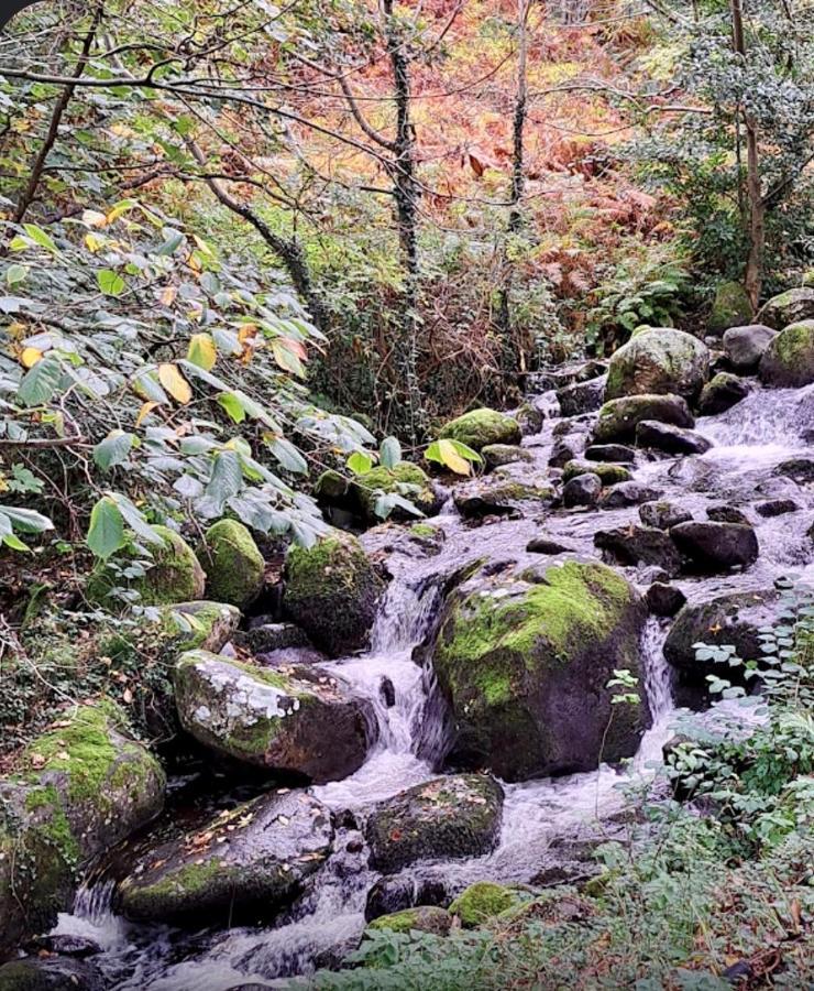 Woodbriar Panzió Penmaen-mawr Kültér fotó